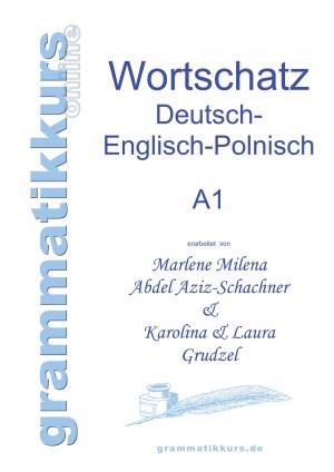 Cover of the book Wörterbuch Deutsch - Englisch - Polnisch A1 by Achim Fringes