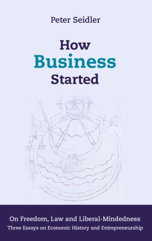 Cover of the book How Business Started by Kurt Tepperwein, Felix Aeschbacher