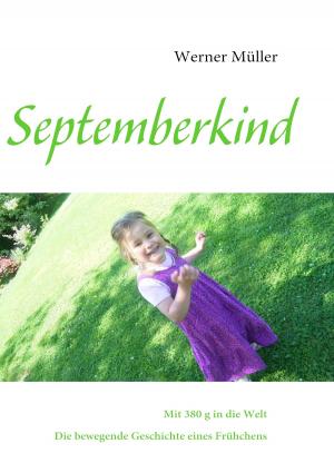 Cover of the book Septemberkind by Silvia Nitsche-Martens