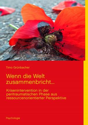 Cover of the book Wenn die Welt zusammenbricht... by Silke Schnack