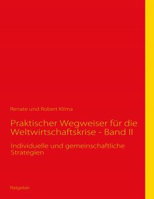 Cover of the book Praktischer Wegweiser für die Weltwirtschaftskrise - Band II by Kurt Tepperwein