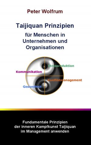 Cover of the book Taijiquan Prinzipien für Menschen in Unternehmen und Organisationen by Volker Krahn, Oliver Tschirsky