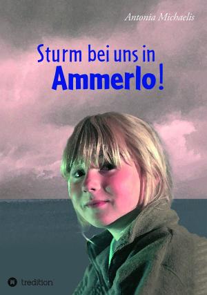 Cover of the book Sturm bei uns in Ammerlo! by Egon Harings