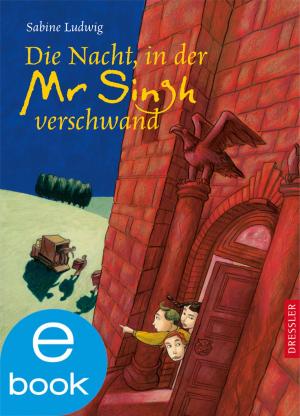 Cover of the book Die Nacht, in der Mr. Singh verschwand by Sabine Ludwig