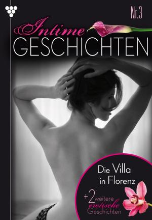 Cover of the book Intime Geschichten 3 – Erotikroman by Justine Elvira