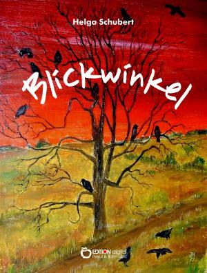 Cover of the book Blickwinkel by Helga Schubert