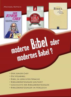 Cover of the book Moderne Bibel oder modernes Babel by Werner Gitt
