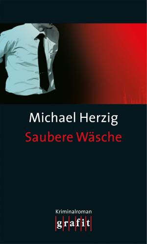 Cover of the book Saubere Wäsche by Jan Zweyer