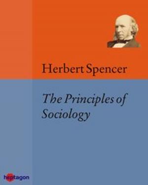 Cover of Principles of Sociology