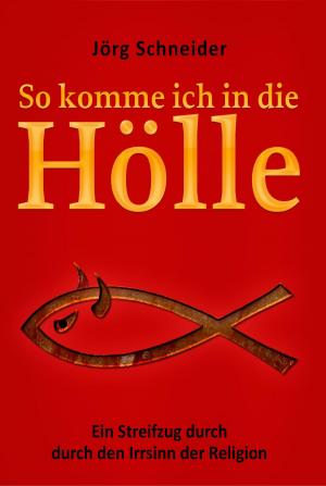 Cover of the book So komme ich in die Hölle by Kim Landers