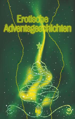 Cover of the book Erotische Adventsgeschichten by Jeff Tikari