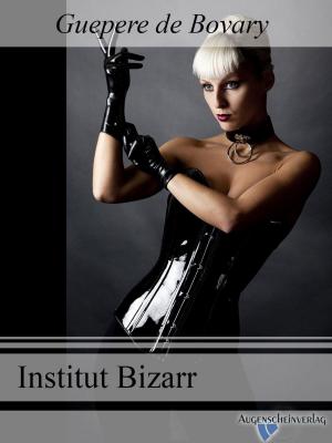 Cover of the book Institut Bizarr by Luzy Fear