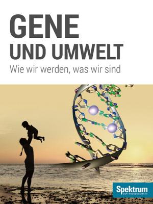 Cover of the book Gene und Umwelt by 