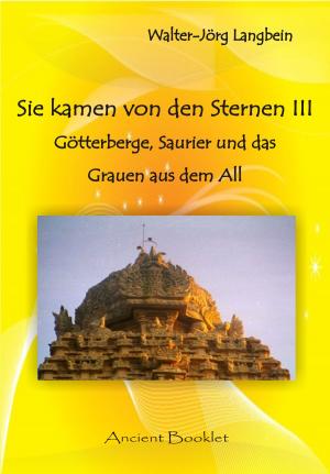 Cover of the book Sie kamen von den Sternen III by Walter-Jörg Langbein
