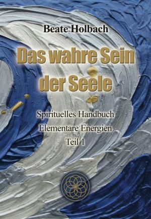 Book cover of Das wahre Sein der Seele - Teil 1