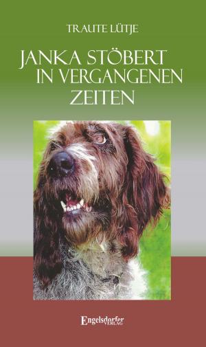 Cover of the book Janka stöbert in vergangenen Zeiten by Thomas Sarc