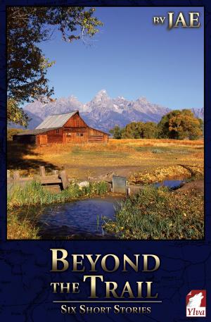 Cover of the book Beyond the Trail by Alison Grey, Jae, RJ Nolan