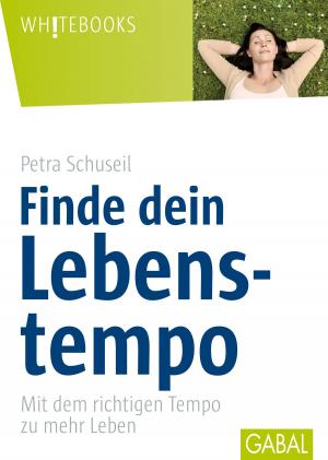Cover of the book Finde dein Lebenstempo by Christiane Wittig