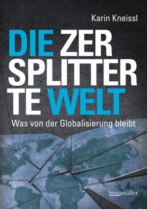 Book cover of Die zersplitterte Welt