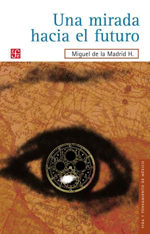 Cover of the book Una mirada hacia el futuro by Miguel de Cervantes Saavedra, Wilhelm Dilthey