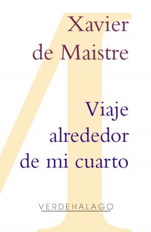 Cover of the book Viaje alrededor de mi cuarto by Joanna FitzPatrick