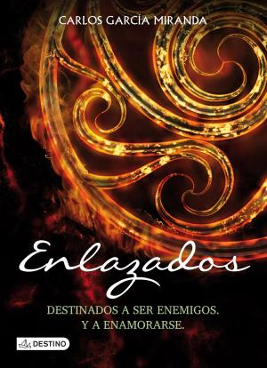 Cover of the book Enlazados by Javier Celaya