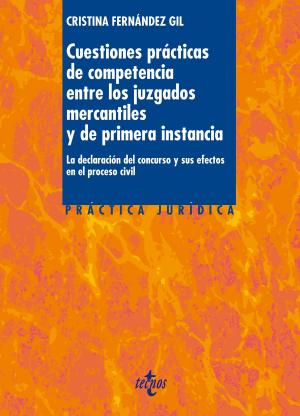 Cover of Cuestiones prácticas de competencia entre los juzgados mercantiles y de primera instancia