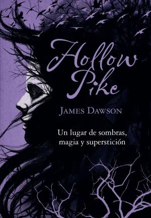 Book cover of Hollow Pike