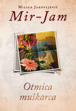 Cover of the book Otmica muškarca by Gianni Simoni