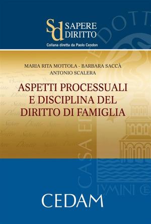 Cover of the book Aspetti processuali e disciplina del diritto della famiglia by Oberto Giacomo