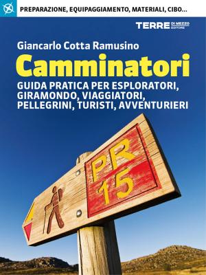 Cover of the book Camminatori by Paolo Cognetti