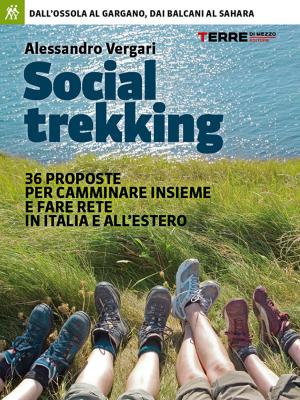 Cover of the book Social trekking by Valerio Massimo Visintin