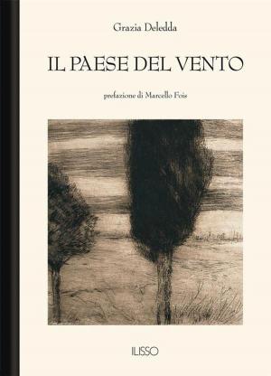 Cover of the book Il paese del vento by Enrico Costa