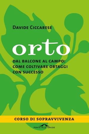 Cover of the book Orto by Giuseppe Allegri, Roberto Ciccarelli