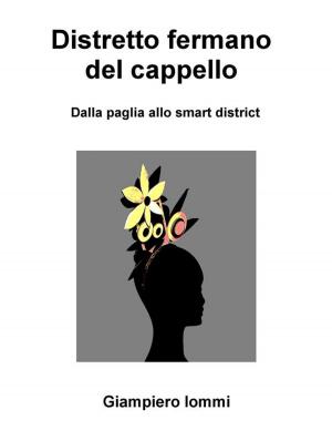 Cover of the book Distretto fermano del cappello by Peter D. Fenton