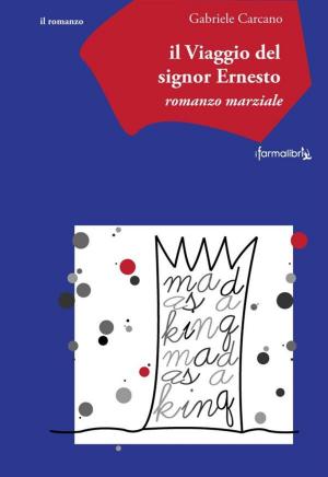 Book cover of Il viaggio del signor ernesto