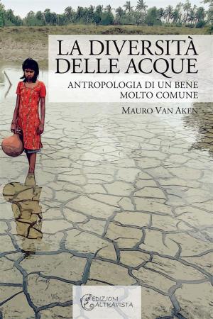 Cover of the book La diversità delle acque by Renata Freccero