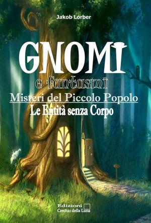 Cover of the book Gnomi e fantasmi by Helena P.Blavatsky