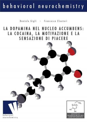 Book cover of La dopamina nel nucleo accumbens