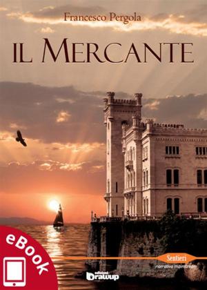 Cover of Il mercante