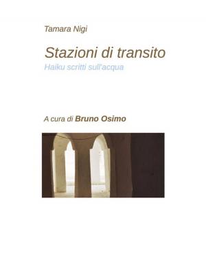 Cover of the book Stazioni di transito (haiku scritti sull'acqua) by Bruno Osimo, Bruno Osimo
