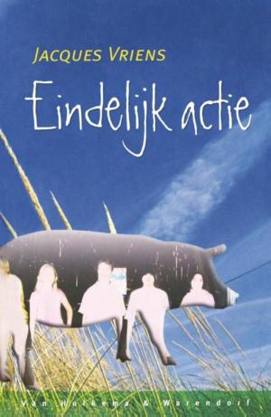 Cover of the book Eindelijk actie by Jacques Vriens