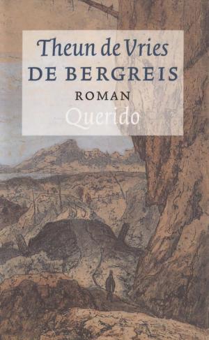 Cover of the book De bergreis by Arnaldur Indridason