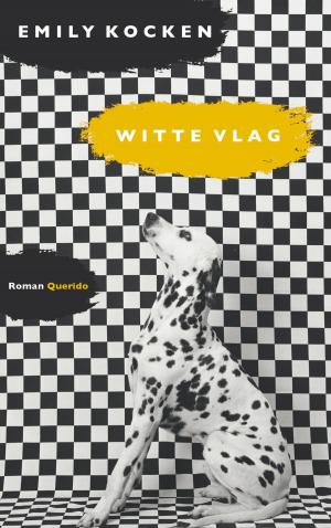 Cover of the book Witte vlag by Kristen Casey