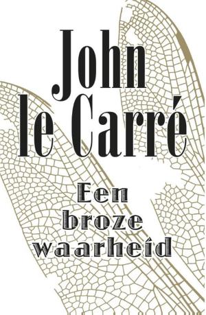 Cover of the book Een broze waarheid by Marlies Slegers