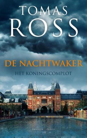 Cover of the book De nachtwaker by Daan Heerma van Voss