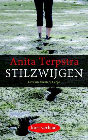 Cover of the book Stilzwijgen by Lars Kepler