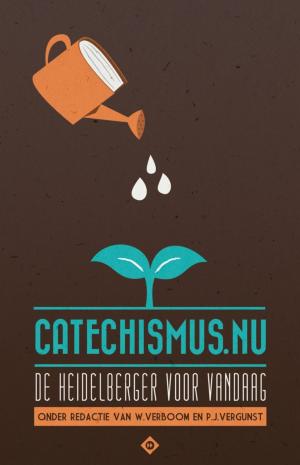 Cover of the book Catechismus.nu by Jan Hoogland, Maarten Verkerk