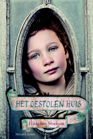 Cover of the book Het gestolen huis by Marilyn Ludwig