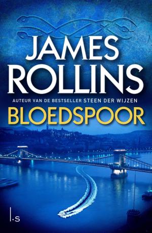 Cover of the book Bloedspoor by Steinar Bragi